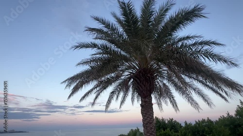 Wallpaper Mural Tropical view with a palm trees under blue sky by sunset  Torontodigital.ca