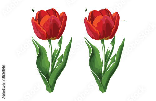 Mastering the Art of Tulip Illustration A Step-by-Step Guide to Creating Realistic Floral Artwork