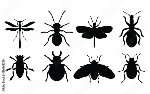 Insect and bug silhouette collection