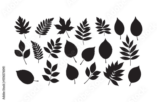Collection of  Silhouette Leaf Illustrations 24 Unique Botanical Designs for Fall Projects