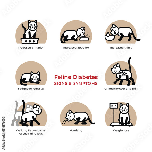 Signs and Symptoms of Diabetes in cats. Feline diabetes mellitus set of cute veterinarian pictograms with editable outline.