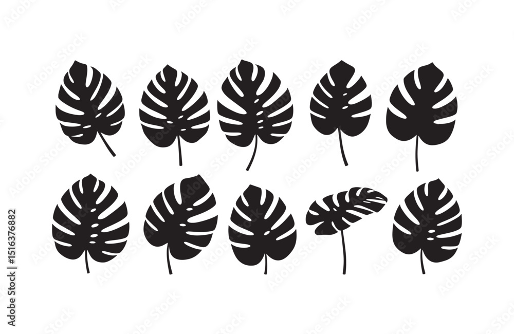 Fototapeta premium Collection of Elegant Monstera Leaf Silhouettes Tropical Plant Illustrations for Design Projects