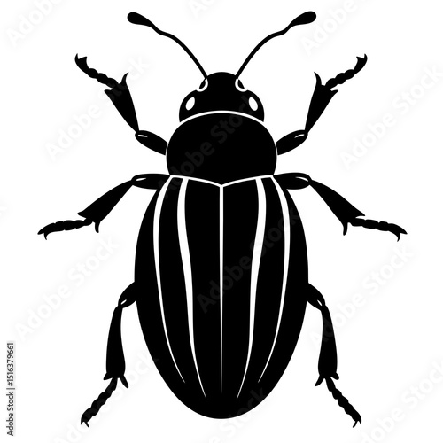 colorado potato beetle