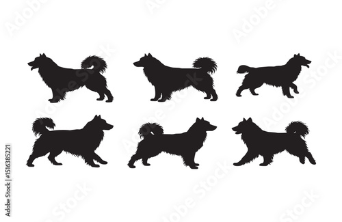 Silhouette Collection Alaskan Malamute Dog Breeds in Various Poses - Vector Illustration