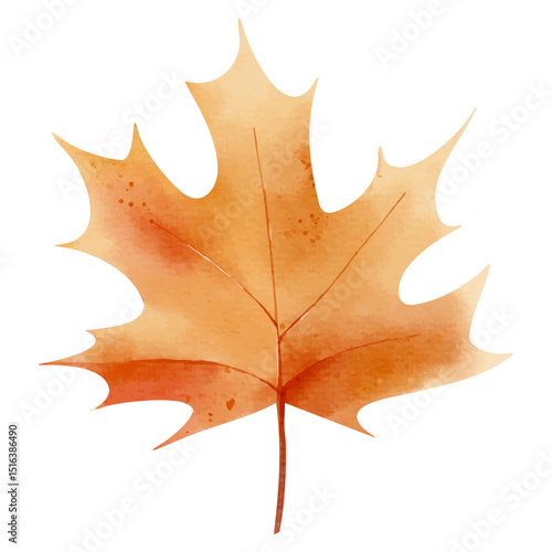 Watercolor autumn leaf. Hand painted fall foliage element for seasonal design, cards or invitations