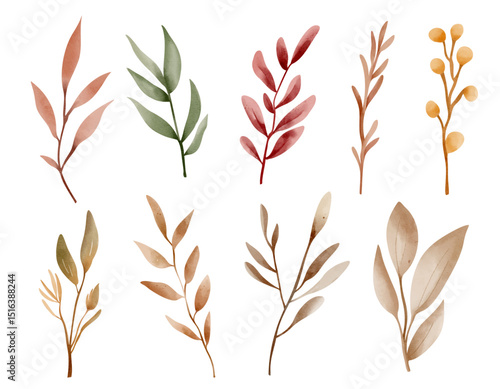 Watercolor autumn herbs set. Hand painted fall botanical elements for seasonal design