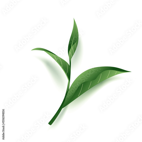 green tea original herbs from japan