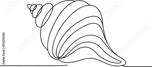Minimalist Seashell Line Art Vector Illustration