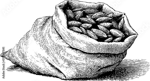 Engraved almond sack illustration for organic food and vintage packaging design