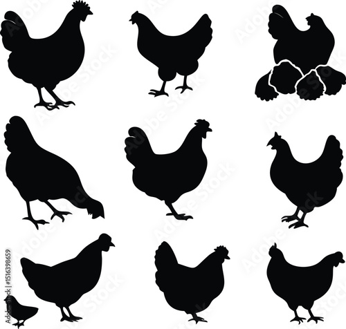 hen chicken icon set. chicken silhouettes, vector Illustration
