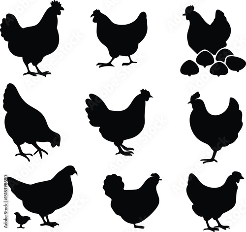 hen chicken icon set. chicken silhouettes, vector Illustration