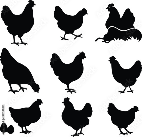 hen chicken icon set. chicken silhouettes, vector Illustration