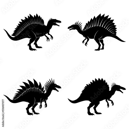 Four black silhouettes of spinosaurus dinosaurs with distinct dorsal sails in various poses on white