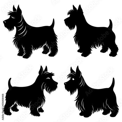Four scottish terrier silhouettes in various poses against a white background design element vector