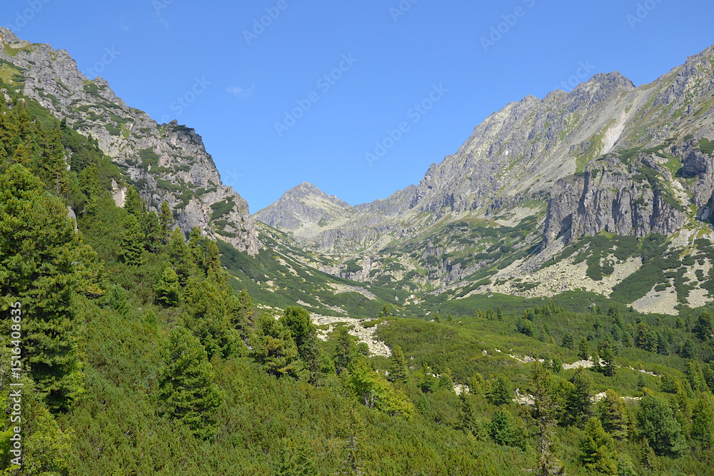 Mlynicka dolina, a valley located in the Slovak High Tatras. View from the Solisko Express chairlift; Slovakia Mlynicka dolina, a valley located in the Slovak High Tatras. View from the Solisko Express chairlift; Slovakia
