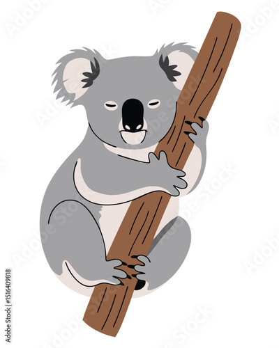 Cute Koala Climbing on a Branch Surrounded by Eucalyptus Leaves in Nature
