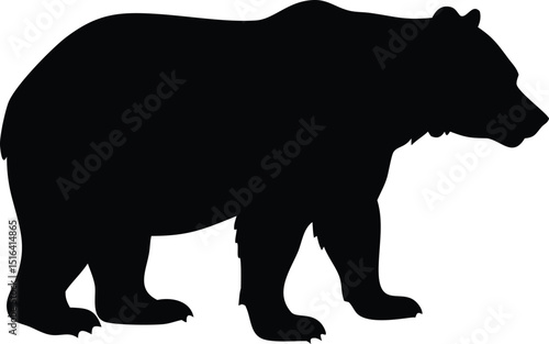 A black vector illustration depicting a standing bear silhouette with detailed fur texture against a white background