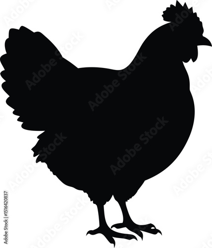Black silhouette vector illustration depicting a hen sitting quietly on a white background for design.
