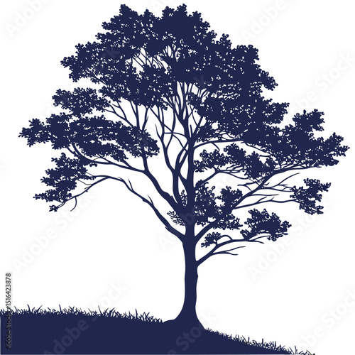 vector hazel silhouette