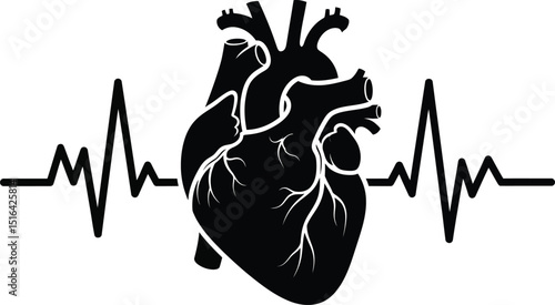 Black and white vector illustration of a human heart with an ekg heartbeat representation ideal for healthcare and medical concepts
