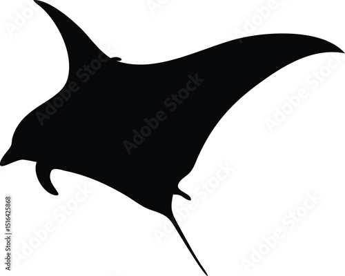 Elegant vector silhouette depicting a manta ray gracefully gliding through the ocean waters in black and white style