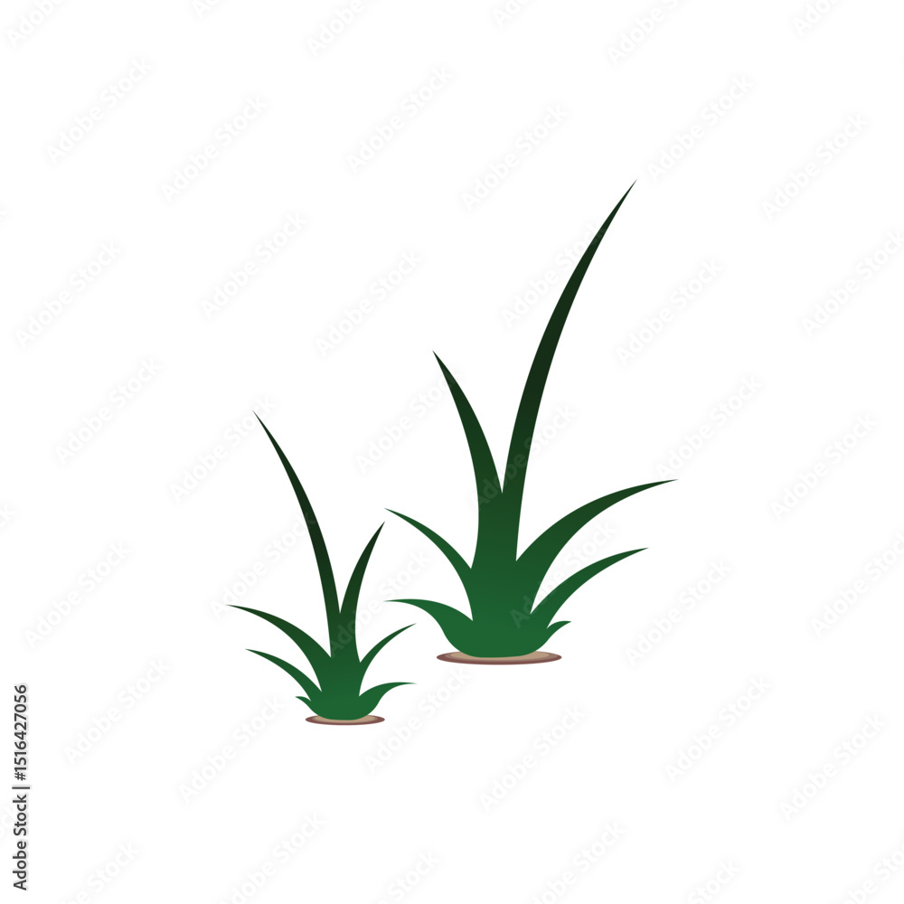Fototapeta premium Illustration vector of green grass plant isolated on white