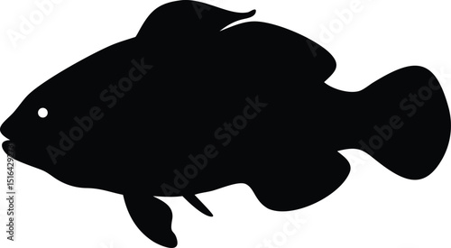 Vector illustration of a swimming clownfish in a black silhouette design ideal for graphic elements.