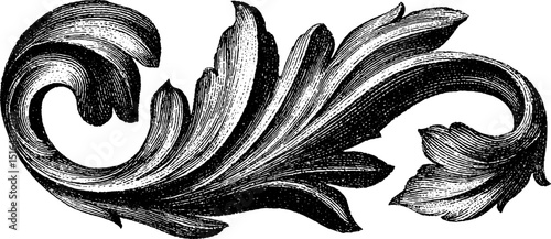 Ornate engraved tracery with black bold lines for decorative design