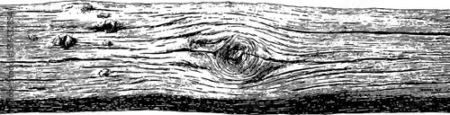 Engraved illustration of textured wooden beam for design projects