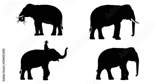 Silhouettes of Elephants and Riders in a Simple Design