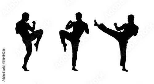 Powerful Silhouette of Three Martial Artists Performing Kicks