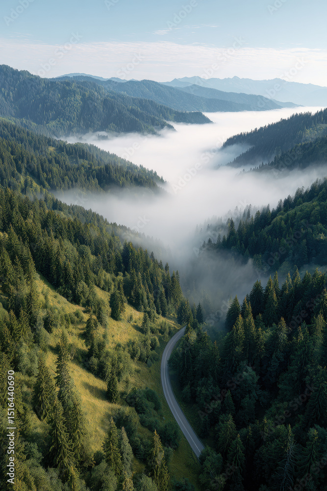 Obraz premium aerial view of majestic mountains enveloped in soft morning fog serene beauty of nature