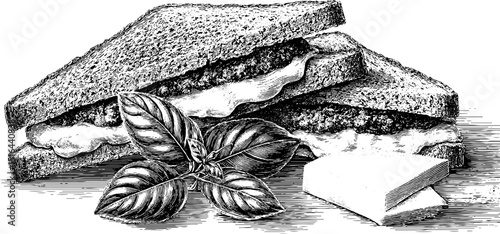 Engraved illustration of chicken parmesan sandwich with basil and cheese