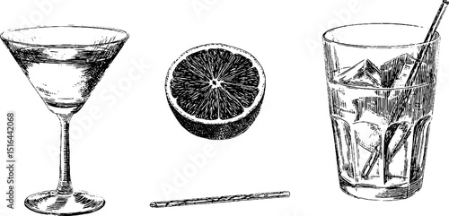 Vintage engraved cocktail glasses and citrus slice for bar menu or poster design