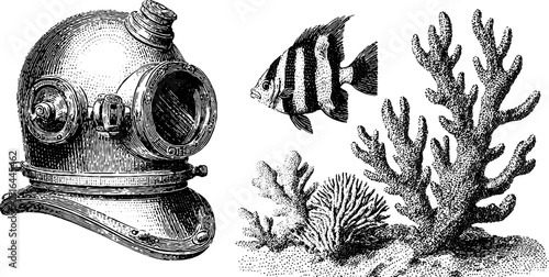 Vintage engraved collection of diver helmet, coral, and fish for nautical design