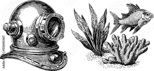 Vintage engraving of diver helmet, coral, seaweed, and fish for nautical design