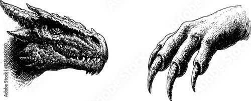 Engraved illustration set featuring dragon head and fierce claw design