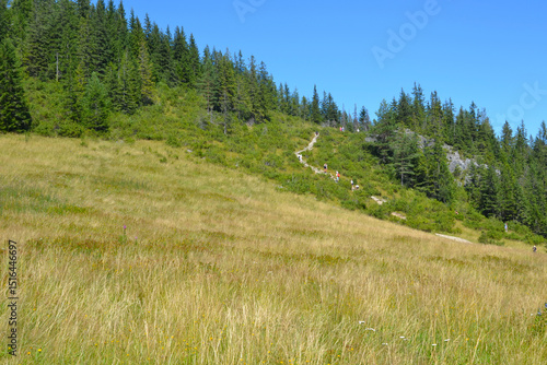 Tourists on the trail. Mountain trail from Toporowa Cyrhla to Wielki Kopieniec mount. Hiking trail in the Western Tatras. Tatra National Park, Zakopane, Poland