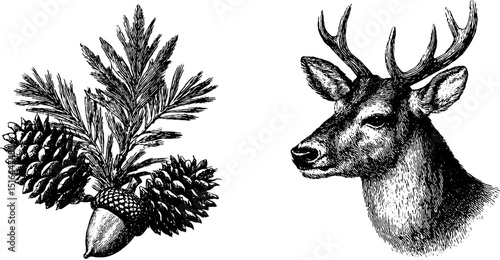Engraved forest deer and pine set for nature-inspired design and decor