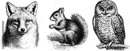 Vintage engraved animal illustrations featuring fox, squirrel, and owl for artistic design