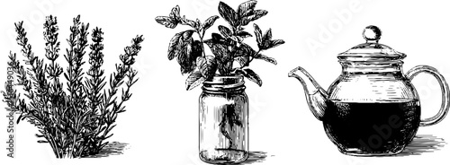 Engraved herbal tea set with teapot and botanical illustrations