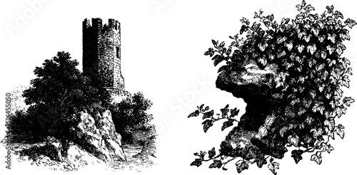 Enchanting moonlit castle tower and ivy-covered rock in vintage engraving for historical themes