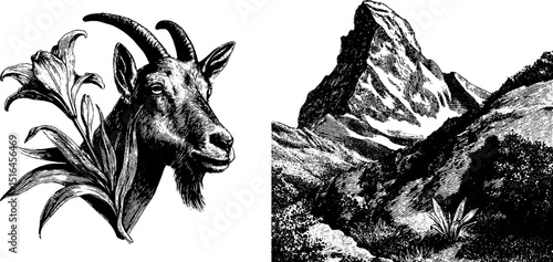 Engraved design featuring mountain goat and majestic mountain landscape