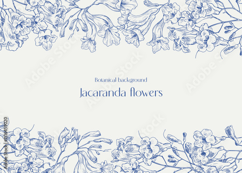 Vintage Toile Floral background with borders Jacaranda flowers for design greeting card, wedding decor, invitation, poster Vector illustration. Engraved  flowers blue on beige. Hand drawn