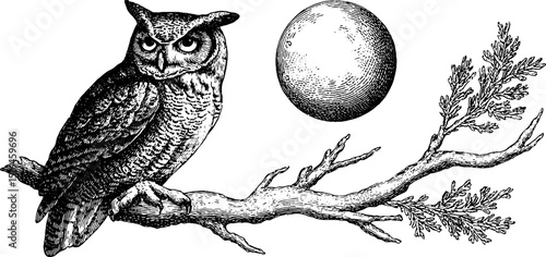 Enchanting nocturnal scene with engraved owl, moon, and tree branch for artistic designs