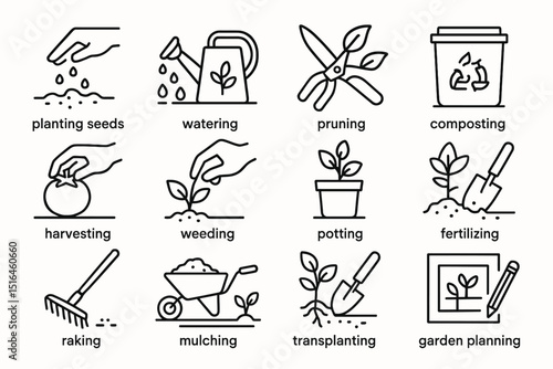 Gardening steps: planting, watering, pruning, composting, and more
