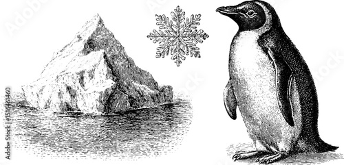 Engraved illustration of penguin and iceberg with snowflake motif for winter design
