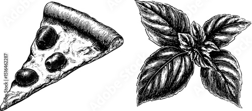 Engraved illustration of pizza slice with olives and basil leaves for design and decoration