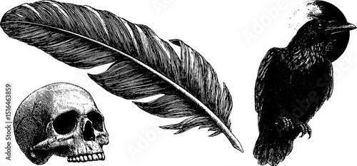 Engraved illustrations of raven, feather, and skull for artistic design