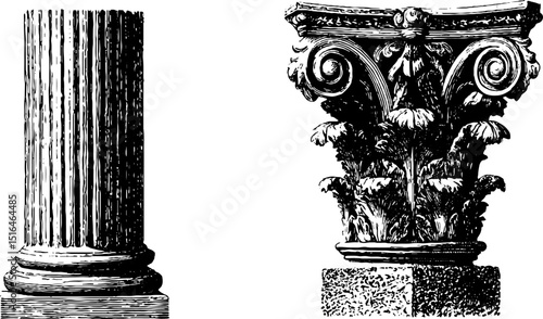 Detailed engraved illustration of roman columns and marble architectural elements